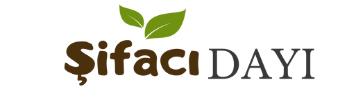 Şifacı Dayı