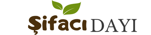 Şifacı Dayı